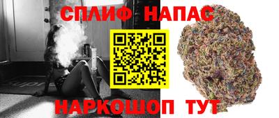 стаф Балаково
