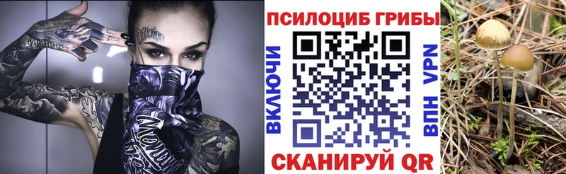 это телеграм  Вольск  Псилоцибиновые грибы прущие грибы 