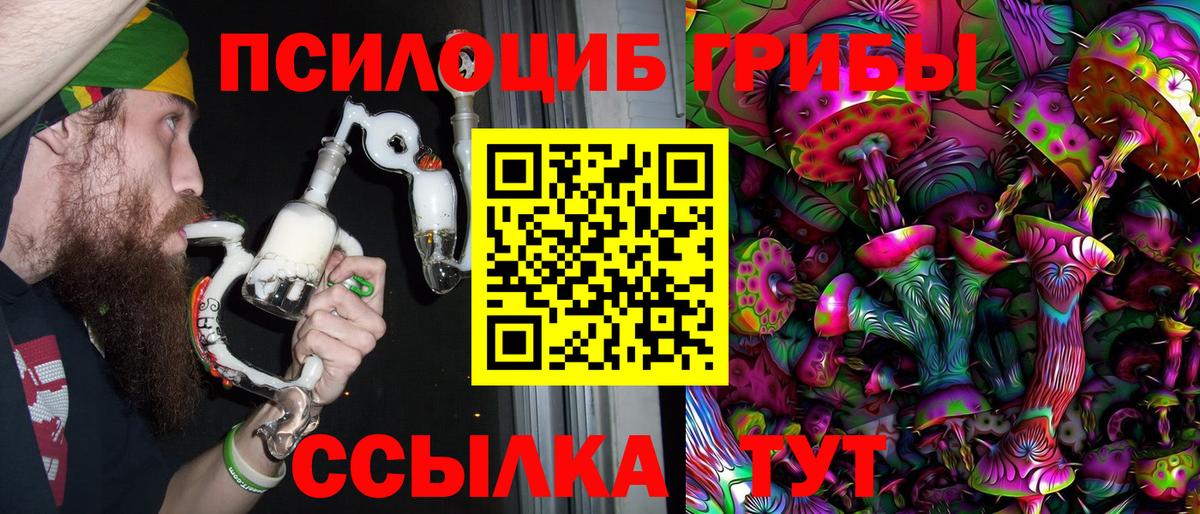продажа наркотиков  Вход с VPN  Вольск  Псилоцибиновые грибы мухоморы 