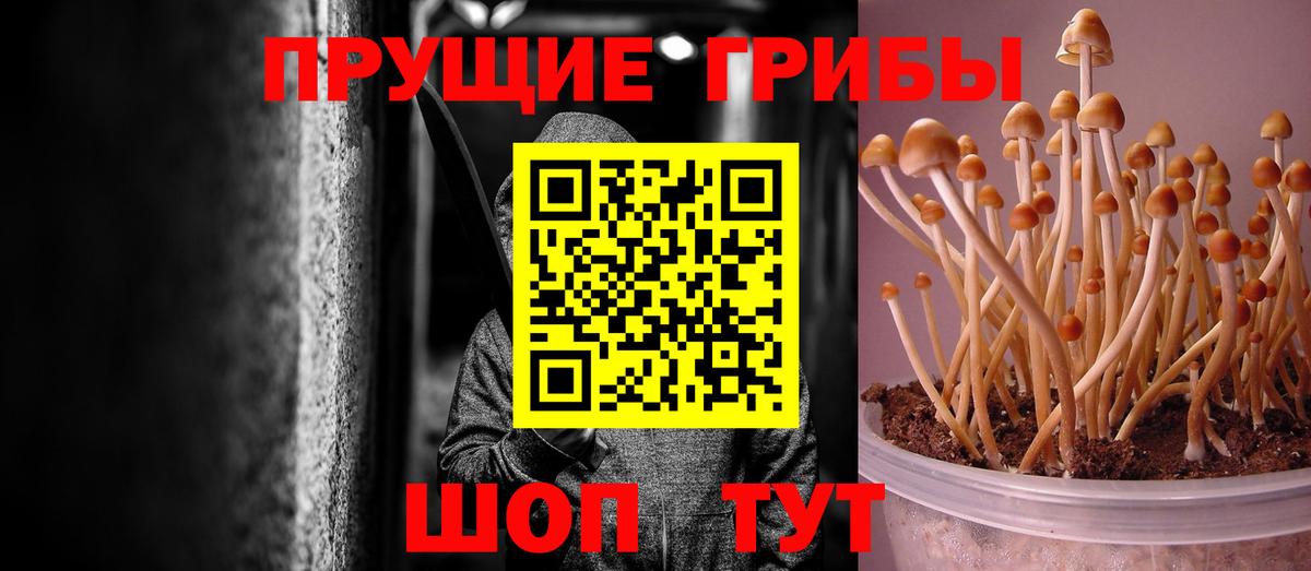 Галлюциногенные грибы Magic Shrooms Вольск